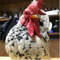 ニコとゼロ (@__nikoandzero) Twitter profile photo