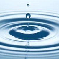 Paula Mueller (@paula_mueller__) 's Twitter Profile Photo Paula Mueller (@paula_mueller__) 's Twitter Profile Photo