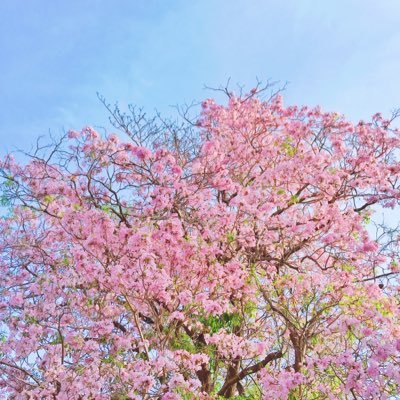 nebraskaaakung's profile picture. No Name....