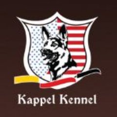 kappelgsdkennel's profile picture. The Best #GermanShepherdDogs and Imported #GSDPuppies for Sale by Kappel #GSDKennel | Phone: (214) 560-1022 | Email: Kappelgsd@gmail.com