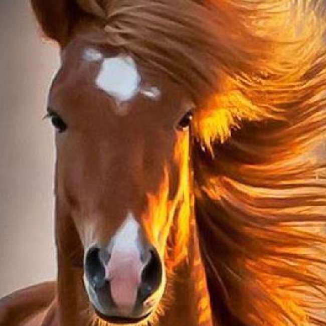 DotKingcps's profile picture. We practice Industrial Law, Occupational Safety at companies, Contracted