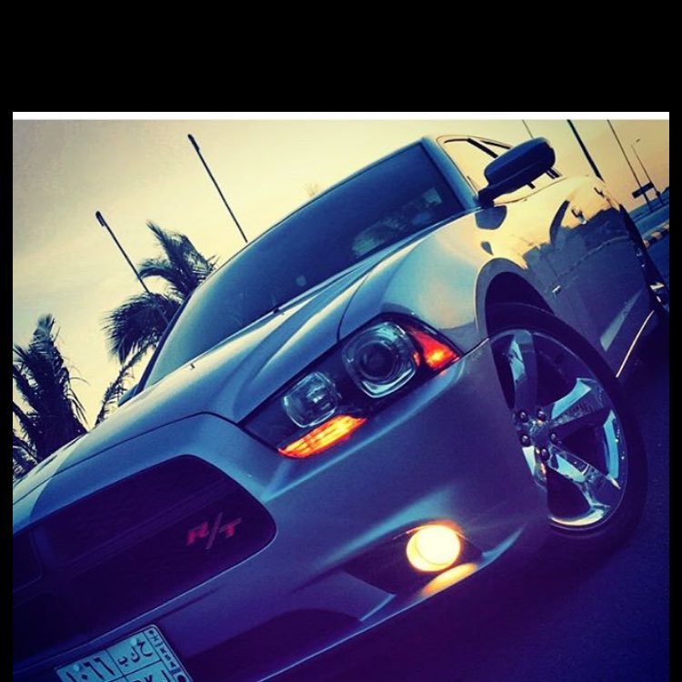 MazenAl61's profile picture. ❤️