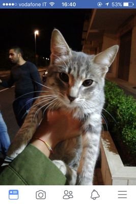 angelo02363811's profile picture. 