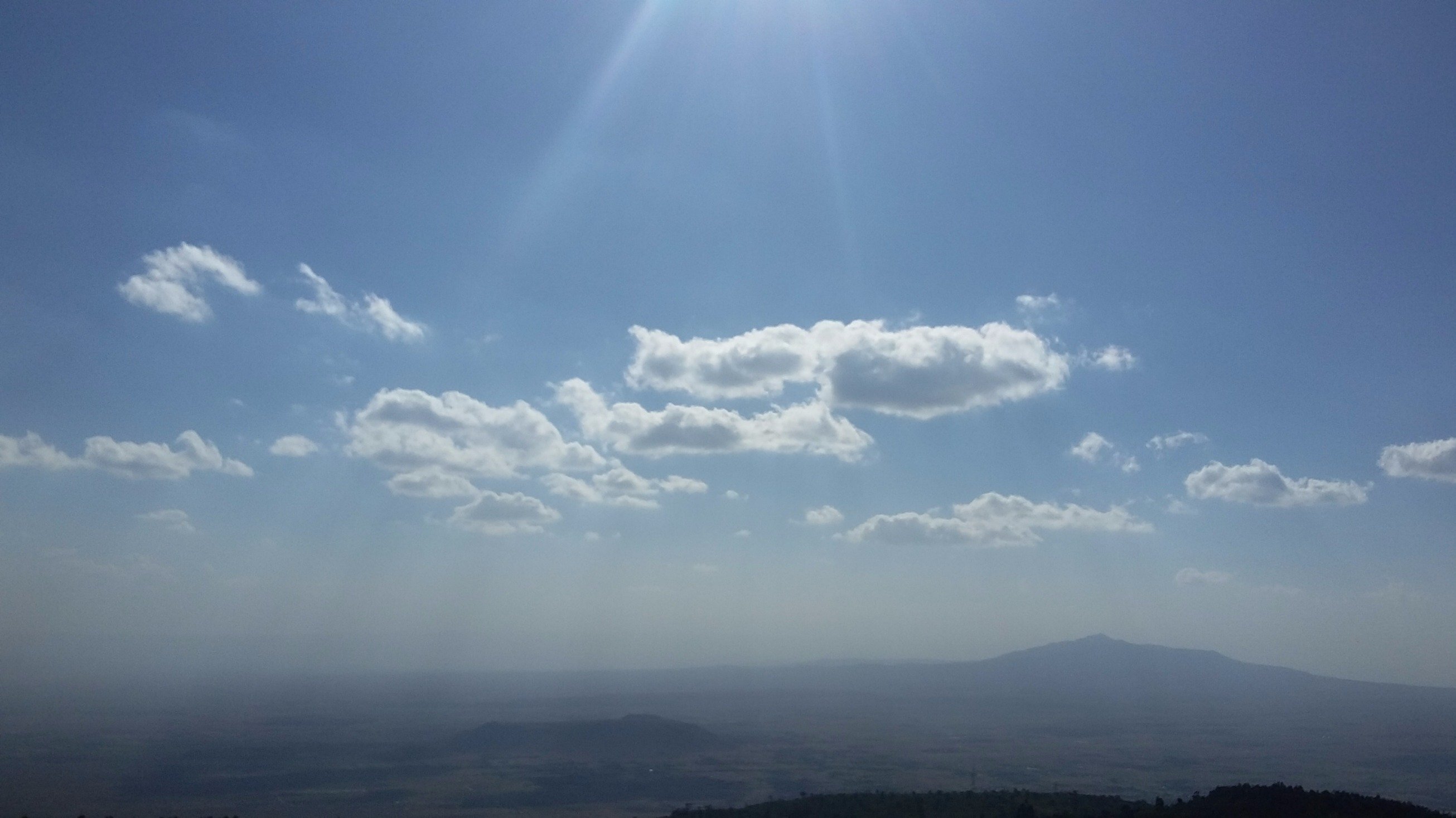 _celestn's profile picture. Human Beings are beautiful animals.