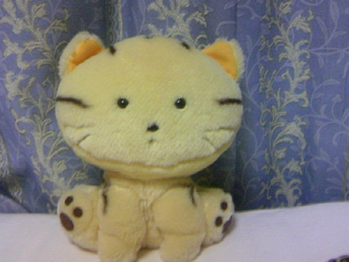 nyanko_c Profile Picture
