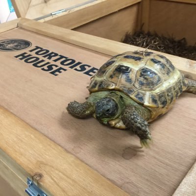 PVFirstGradea6's profile picture. First Grade classroom rural pv