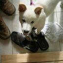 Rang - @ClareJung - Twitter