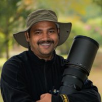 Himansu Tripathy (@tripathyhimansu) 's Twitter Profile