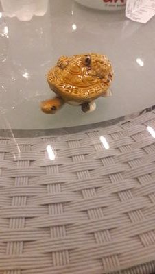 sonnnif's profile picture. 