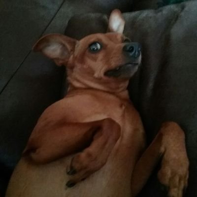 DECANTABRIA's profile picture. Siempre hacia adelante pase lo que pase