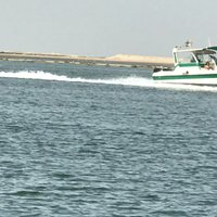 أحمد رامي (@s4f3c5bphcxlci3) Twitter profile photo