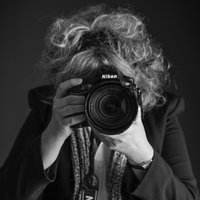 Ann Seymour Photography(@AnnSeymourPhoto) 's Twitter Profile Photo