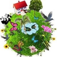 #unitiperloro (@noiperloro1) 's Twitter Profile