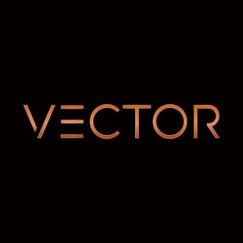 vectorlaunch Profile Picture