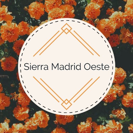 Las mejores rutas turísticas, gastronómicas y naturales de la sierra madrileña. Descúbrelo todo en @SierraMadOeste