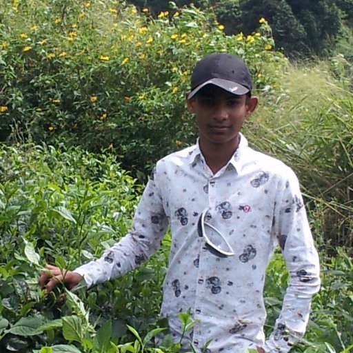 SMLMOHAMEDSHAM1's profile picture. NEVER EVER GIVE UP.....👊👊👊