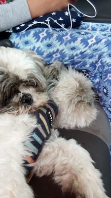 lulu_f_15's profile picture. Lol