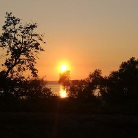 Alessandro Perrella (@alexperrella) 's Twitter Profile