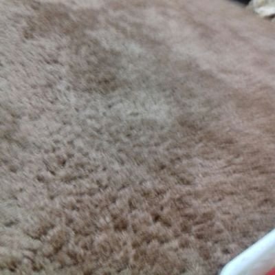 العالم العربي