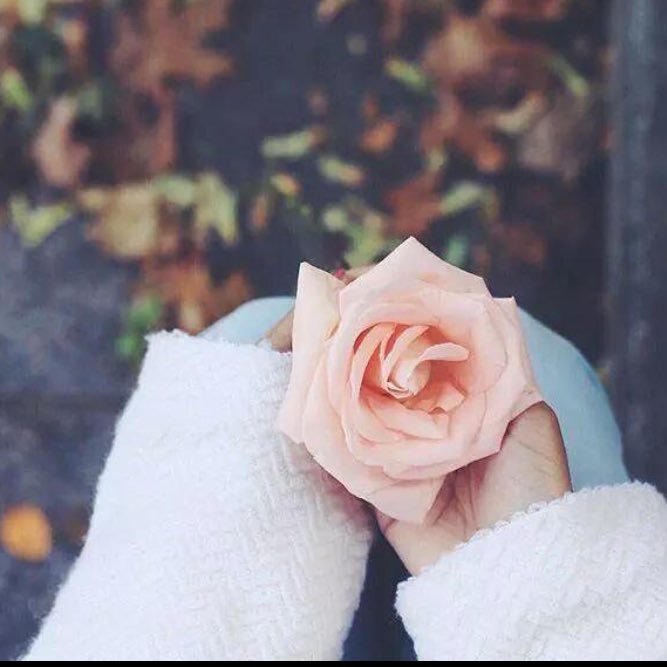 hanan1_23's profile picture. لاحول الله ولاقوة الا بك🕊