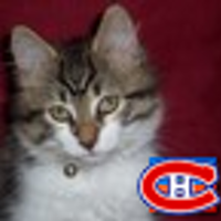 Saber Triki (@sabertriki) 's Twitter Profile