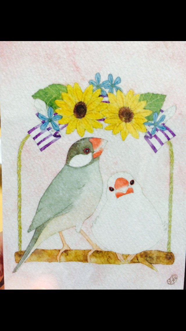 ni_jspk03's profile picture. うた、本、鳥、お花がすき。あと、刺繍