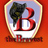 theBravest's profile image