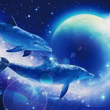 dolphin姫