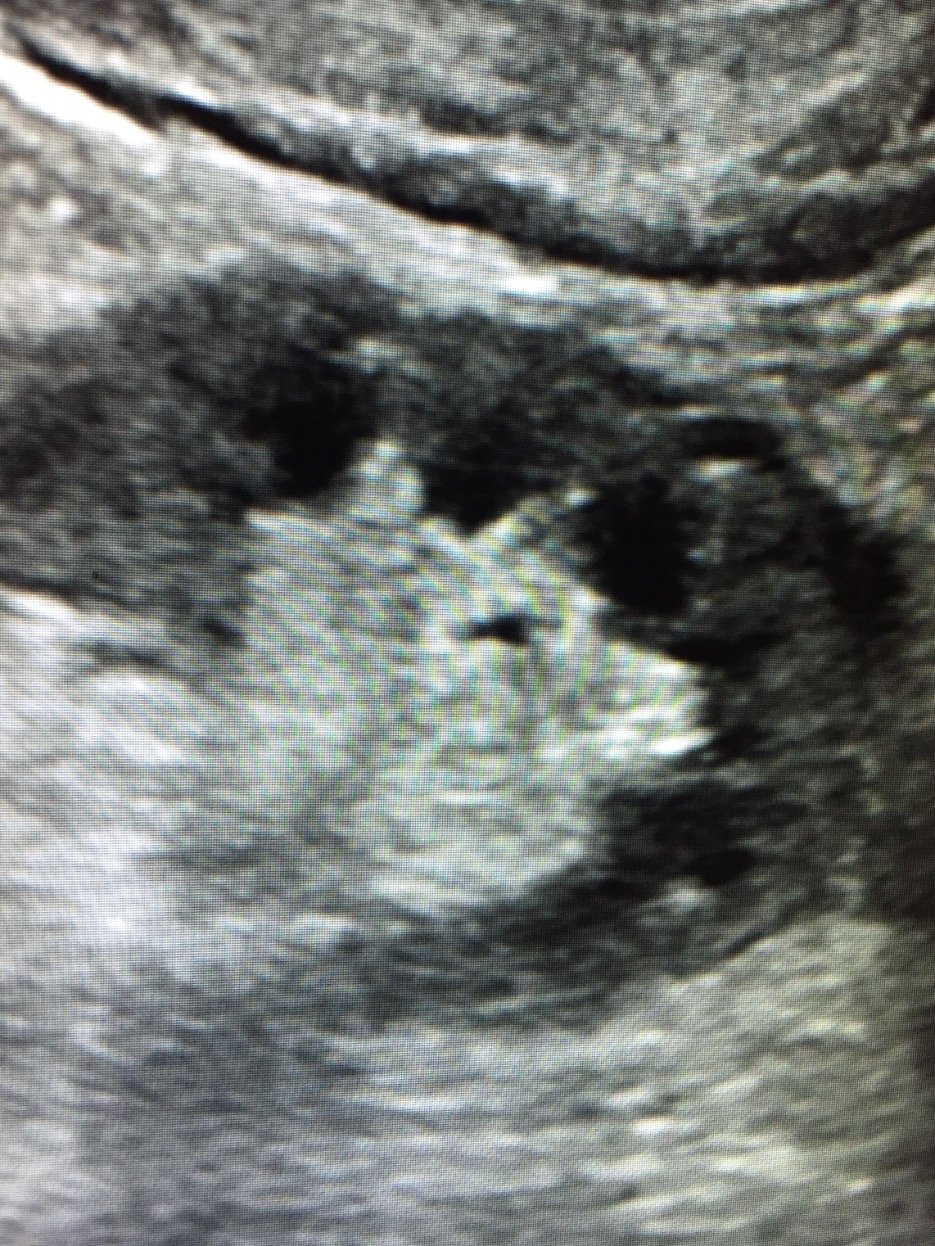 DavidGuez82's profile picture. Hudson Hawk was ahead of its time.