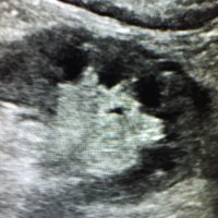 david guez (@davidguez82) 's Twitter Profile