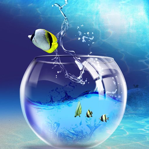 OnofreFco's profile picture. 