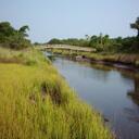 Judith Mize - @Gardezlefoi - Twitter