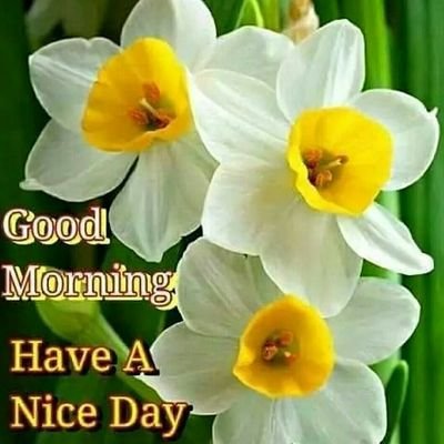 Chenna75919276's profile picture. Music Entertainment News Comedy and Humour TV