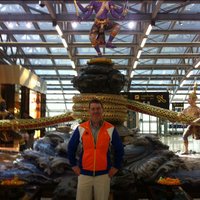 Brian Kiely #BeARayofSunshine #BeABloodDonor (@briankiely2) 's Twitter Profile