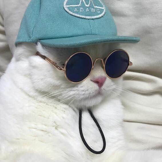 INNTIRA's profile picture. 