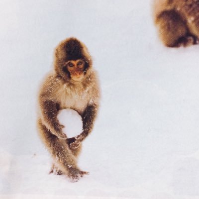 好きなら好きと 言えばいい