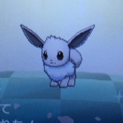 イーブイ6v 配布専用垢 Eevee6 V Twitter イーブイ6v 配布専用垢 Eevee6 V Twitter
