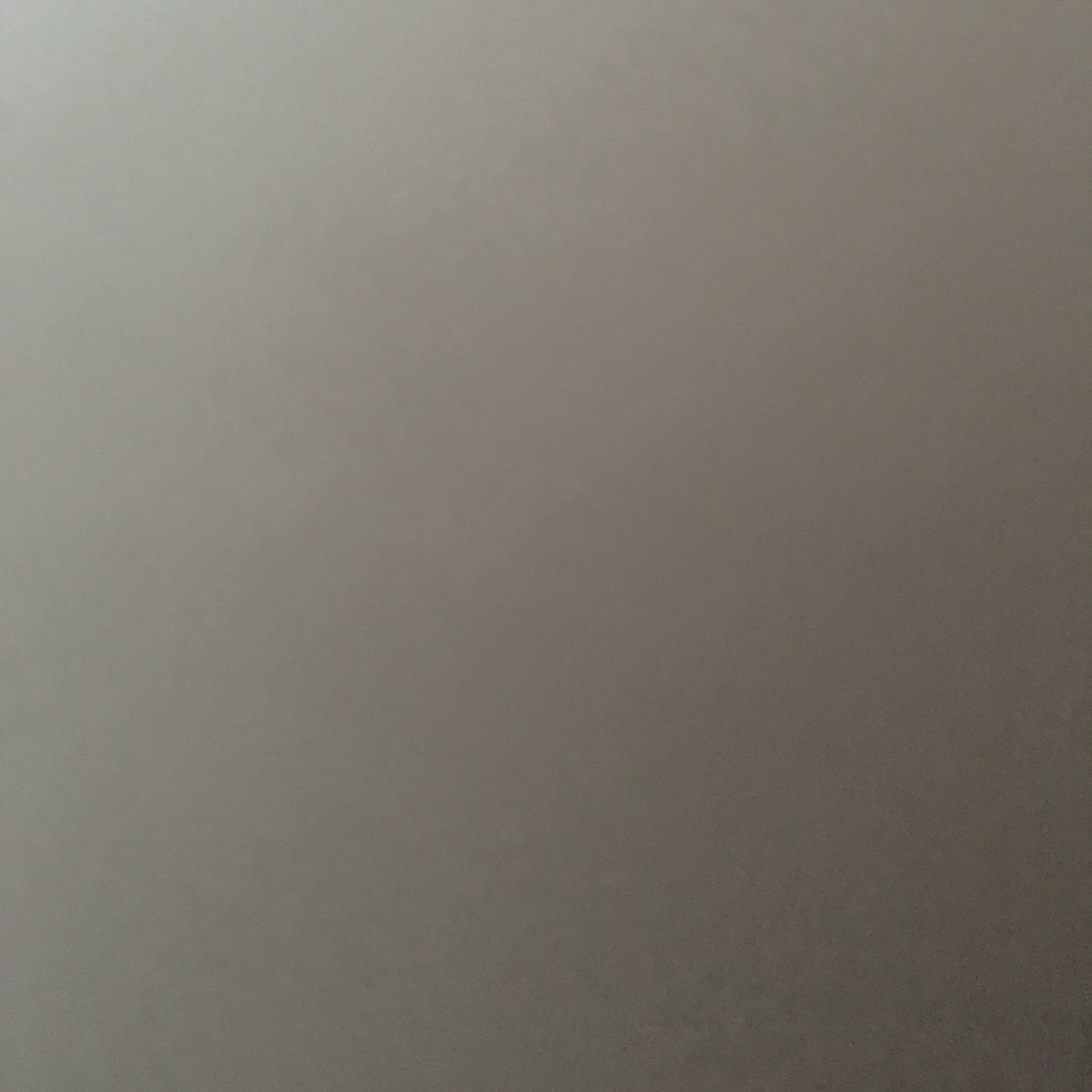 bayareabunny's profile picture. 