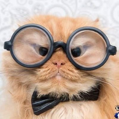 EddieDong's profile picture. 