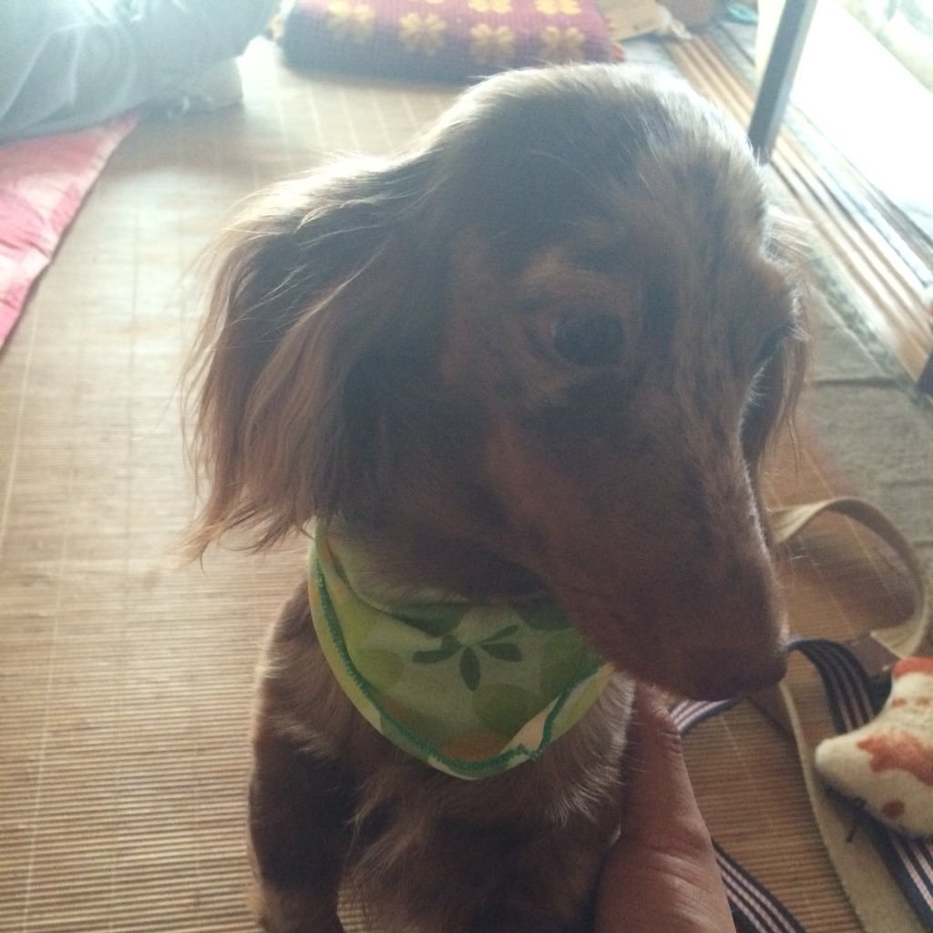 3HxreibSf2L2GRu's profile picture. ルタでやんす！ よろしこー（笑）