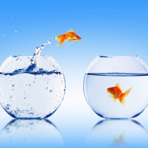 digitaltutorhub's profile picture. Give a man a fish, and you feed him for a day. Teach a man to fish, and you feed him for a lifetime ~Lao Zhu