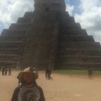 Miguel leal (@migsone2_leal) 's Twitter Profile