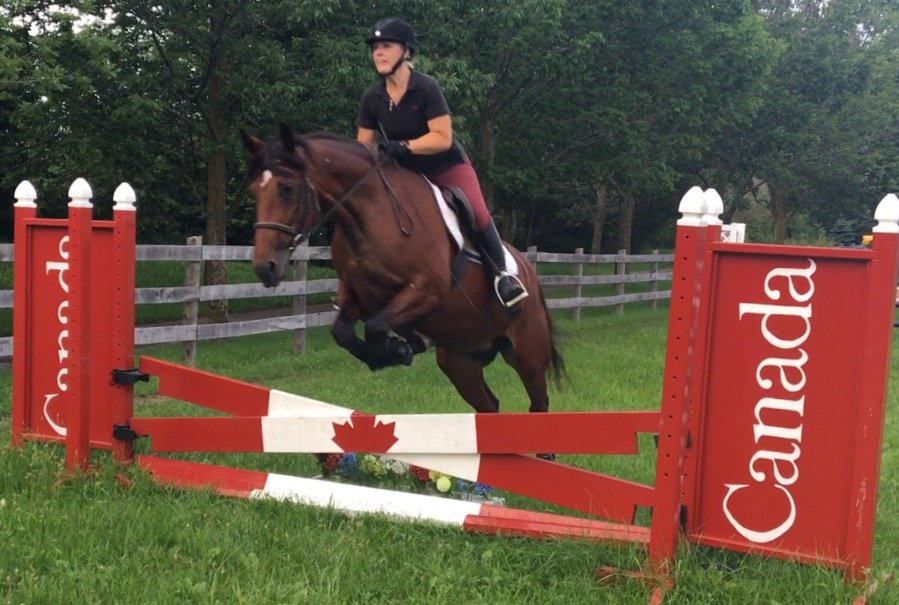 borderlyequine1's profile picture. Always try to find the good in every person & situation. YouTuber & New Explorer trying to find the truth to the Afterlife 💫