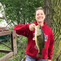 Mrs. Fellmeth (@fellmetd) 's Twitter Profile Photo