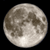 Laurie Rollins - @porcupf - Twitter