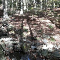 Rstman (@crispacio1o) 's Twitter Profile