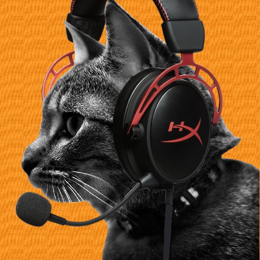 MitisCat4's profile picture. ゲームやゲーミングマウスなどの周辺機器。色々投稿しています。
miHoYo信者。
オーバーウォッチ狂信者。
オーバーウォッチは１のベータテストからの古参勢です。
崩壊3rdはVer2.3から黒羽の夜想曲に一目ぼれして始めました。
今の推しはデュランダルです。