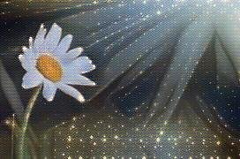 acdaisy4's profile picture. Jesus is Lord!
#BibleVerses