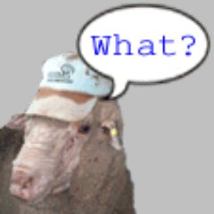 sheepGeekCP Profile Picture