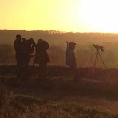 Birdwatching tours in the stunning county of Lincolnshire and beyond.